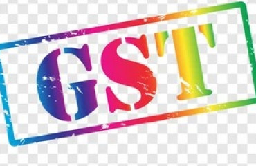 TCA Anant: A viral customs spat shows the confusion caused by an outdated product classification system